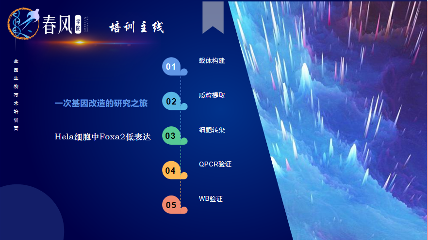 【春風(fēng)學(xué)院】2023年全國(guó)生物醫(yī)學(xué)分子細(xì)胞實(shí)驗(yàn)技術(shù)特訓(xùn)營(yíng)開(kāi)班！為期5天