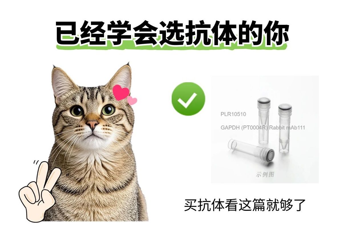 2025年了，我不允許還有人不知道抗體選哪家！