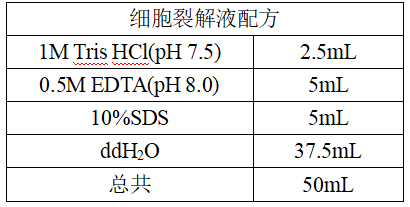 小白也能學(xué)會(huì)的細(xì)胞DNA提取步驟