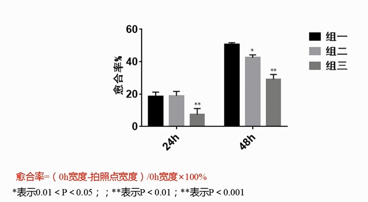 細胞劃痕5.jpg